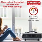 MAHARAJA WHITELINE 2000 Watts Flare Gray (BLOWER)