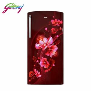 Godrej 207L E Marvel Single Door Fridge (Arctic Wine)